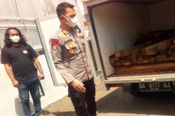 Polres Tabalong amankan ratusan batang ulin ilegal