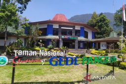 Pendaki ke Gunung Gede Pangrango harus daftar online