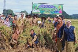 Kementan dorong petani Pangkep terapkan teknologi CSA