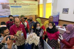 Dispersip Kalsel musnahkan arsip usang