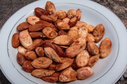 Mengenal kenari maluku yang cocok diolah jadi beragam makanan