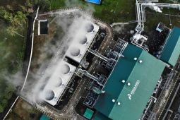 Capai nol emisi karbon, pemerintah harap PLTP gantikan energi fosil