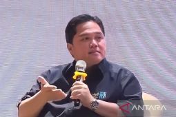 Erick Thohir mendorong Garuda stabilkan harga tiket pesawat