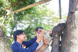 53 warga Mukomuko digigit hewan penular rabies