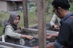 Mahasiswa  UGM bantu inovasi bisnis kopi di Samosir