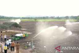 Infrastruktur pendukung budi daya jagung dibangun di Papua dan NTT