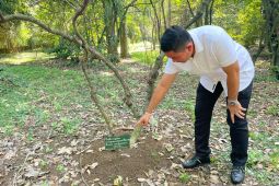 Polresta Bogor luruskan kabar dugaan biji koka dari Kebun Raya Bogor
