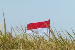 Sekda ajak masyarakat partisipasi meriahkan kemerdekaan RI