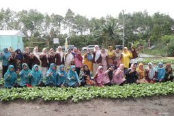 Bangka Tengah dorong pengembangan program P2L