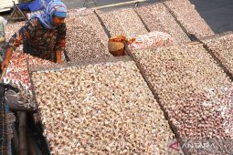 Harga ikan kering
