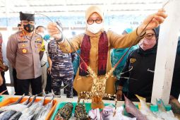 Pemkab Banyuwangi dorong pengembangan usaha nelayan lewat "Fish Market Festival"