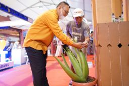 "Lidah buaya" asal Pontianak membuat takjub pengunjung pameran ICE