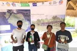 Bappenas ajak warga Nusa Penida budi daya rumput laut