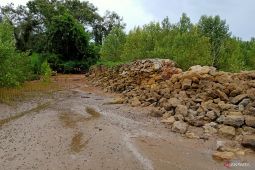 Kabupaten Penajam minta bantuan pemerintah pusat tangani erosi pantai