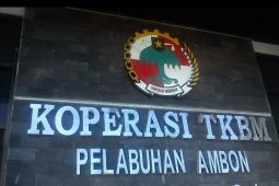Dinas koperasi data 311 koperasi aktif di Ambon dari total 635