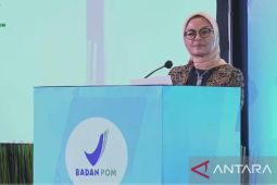 BPOM susun strategi tangkal hoaks produk obat dan makanan