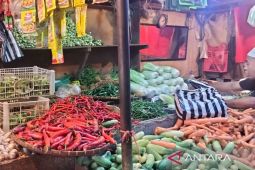 Harga cabai di Cianjur kembali naik dikisaran Rp80.000 per kilogram
