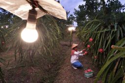 PLN terus dorong masyarakat melakukan migrasi energi