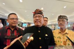Wagub: Bali perlu harga tiket penerbangan yang lebih wajar