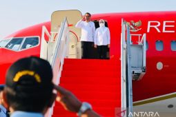 Presiden Jokowi akan tinjau pengembangan kelapa genjah di Jawa Tengah