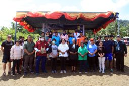 PLN Papua tanam 2.000 bibit mangrove di Kabupaten Biak Numfor