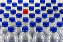 Why checking plastic packaging labels for BPA is important