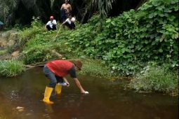 DLHK Aceh Timur ambil sampel air sungai diduga tercemar limbah PKS