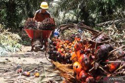 Tapin capai investasi Rp434 miliar selama semester 1