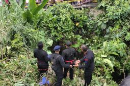 Truk bermuatan karet terjun ke jurang sedalam 20 meter