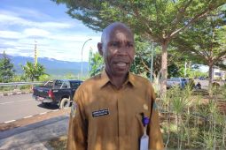 Pemprov Papua Barat siapkan bantuan bibit ayam untuk warga tidak mampu