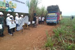 Panen tebu di Subang meningkat 73 persen melalui program Makmur