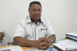 BKKBN harapkan Forkopimda Papua Barat jadi orang tua asuh anak stunting