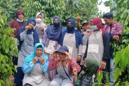 IKM Sendoyan dapat pelatihan cara hasilkan lada bubuk berstandar