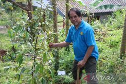 Peringati Kemerdekaan RI, Polbangtan Kementan tanam durian di Bukit Cinagara
