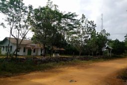 Desa Labai Hilir Ketapang "berjuang" mendapatkan pasokan listrik