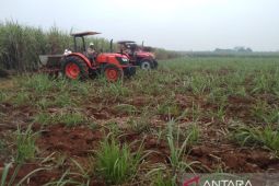 ID Food aktifkan pabrik gula di Kabupaten Subang Jabar