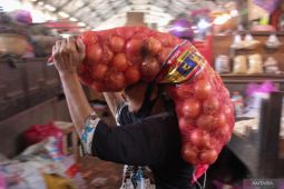 Agar lebih tahan lama, berikut ini cara menyimpan bawang bombai