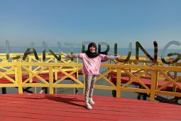 Dinas Kehutanan: 90 persen hutan mangrove di Sulawesi Selatan rusak