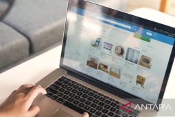 Sederet langkah dasar promosikan produk di lokapasar