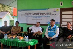 Pemkab Belitung Timur bahagia, Kado HUT RI 77 PLN Babel terangi masyarakat dan obyek wisata pantai Tambak Sukamandi