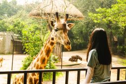 Kebun Binatang Bandung gratiskan tiket masuk pada HUT Ke-77 RI