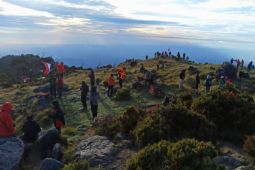 620 pendaki meriahkan HUT RI di Gunung Bawakaraeng
