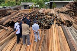 KLHK berikan ribuan kayu guna penataan kawasan Mangrove di Denpasar