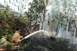 Hingga Agustus, 18  kebakaran terjadi di Kabupaten Batanghari