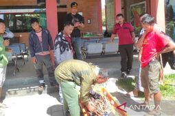 Warga Portugal jatuh ke dalam jurang Gunung Rinjani