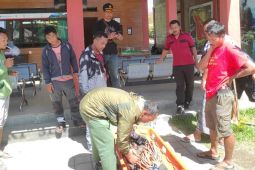 Warga Portugal diduga tewas setelah jatuh ke jurang Gunung Rinjani Lombok