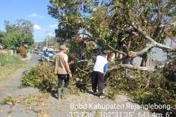 BPBD Rejang Lebong: Warga diminta waspadai bahaya angin kencang
