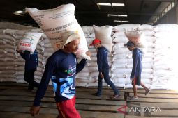 Stok pupuk subsidi