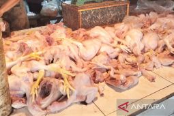 Akhir pekan harga komoditas pangan utama di Sukabumi stabil