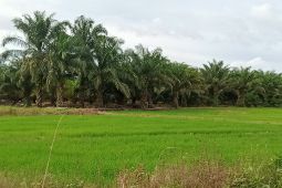 Bendung Talake diharapkan cepat terbangun karena penting bagi petani